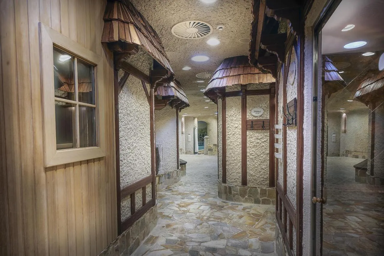 Carlsbad Plaza Medical Spa & Wellness Hotel カルロヴィ・ヴァリ
