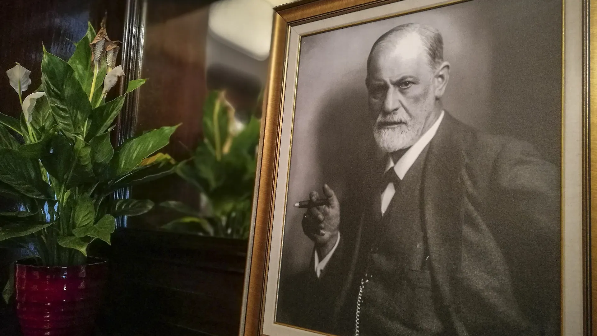 Carlsbad Plaza Medical Spa & Wellness Hotel カルロヴィ・ヴァリ